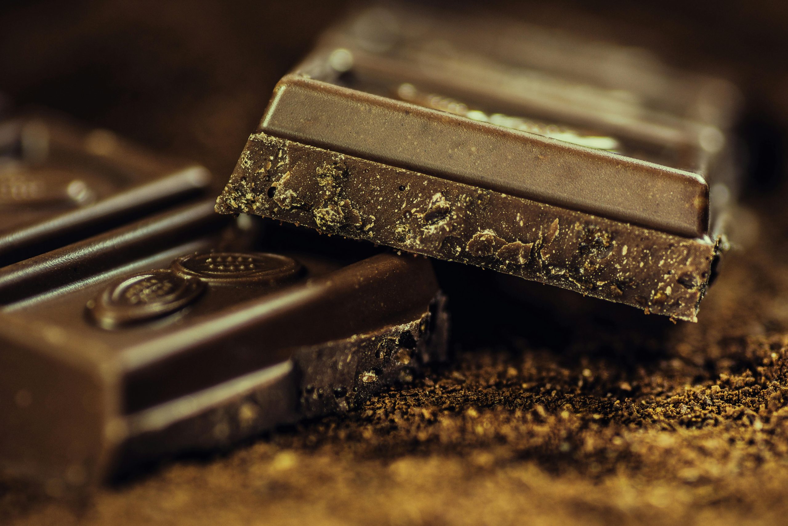 Séance 2 & 3 : Sur les traces du chocolat